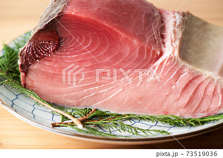 本鮪 ブロック 本鮪 ブロック 73519036