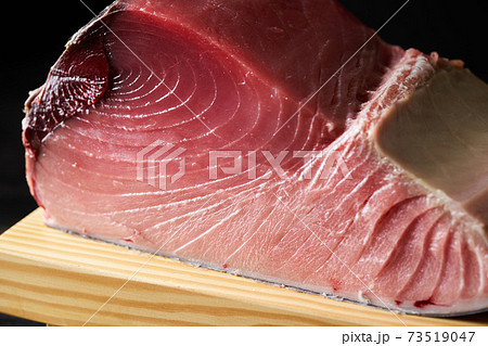 本鮪　ブロック 73519047