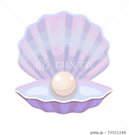 Open Shell With Pearl Mother Of Pearl Sea のイラスト素材 Open Shell With Pearl Mother Of Pearl Sea のイラスト素材