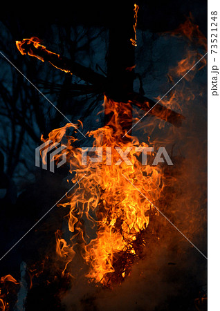 暗闇に燃える炎の十字架 暗闇に燃える炎の十字架 73521248