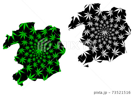 Bingol (Provinces of the Republic of Turkey) map is designed cannabis leaf green and black, Bingol ili map made of marijuana (marihuana,THC) foliage,.... 73521516