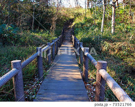 狭山公園の雑木林【東京都東大和市】 狭山公園の雑木林【東京都東大和市】 73521766