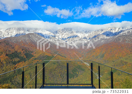 絶景テラス「ハクバ マウンテンハーバー」 三段紅葉 絶景テラス「ハクバ マウンテンハーバー」 三段紅葉 73522031