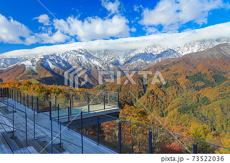 絶景テラス「ハクバ マウンテンハーバー」　三段紅葉 73522036
