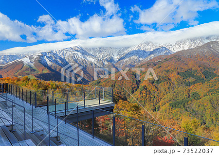 絶景テラス「ハクバ マウンテンハーバー」　三段紅葉 73522037