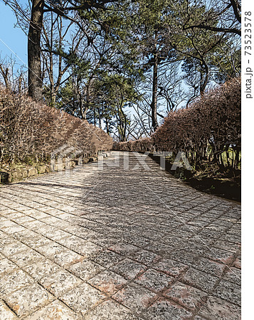 丘の上に桜が咲く公園へつながる急な坂道歩道（イラスト） 73523578