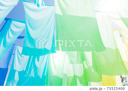 滋賀県 琵琶湖の見える丘 虹のカーテン 73525400