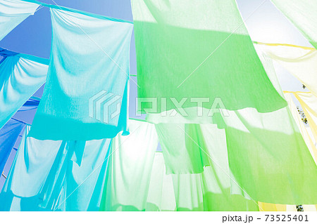 滋賀県 琵琶湖の見える丘 虹のカーテン 73525401