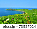 礼文島　ゴロタ岬からの風景 73527024