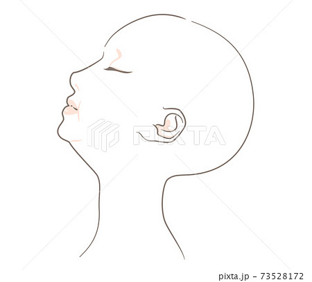 髪なし 上向き あごのラインがぽっちゃりな横顔の女性のイラスト素材