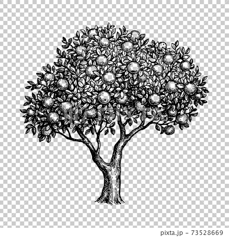 Scandinavian Geometric Apple Tree Drawing Painting Illustration · Creative  Fabrica