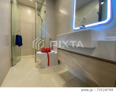 Brand new toilet in restroom of an model house Brand new toilet in restroom of an model house 73528799