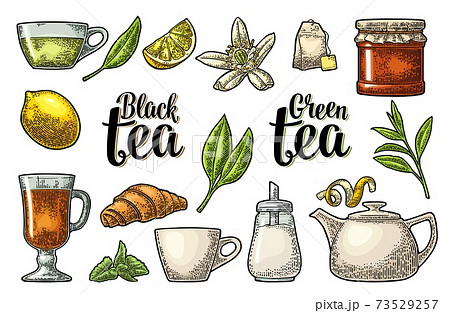 Set tea with lettering. Vector vintage engraving 73529257