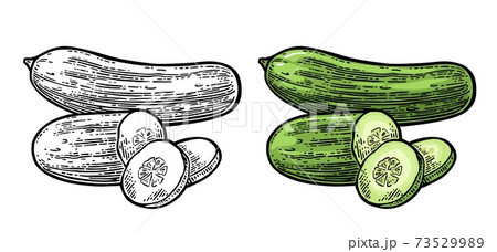 cucumber black and white clipart