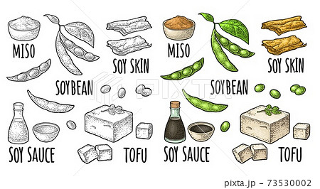 Soy food set. Miso, tofu skin, soybean, sauce 73530002