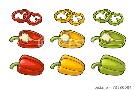 Sweet bell pepper. Vector vintage engraved illustration 73530004