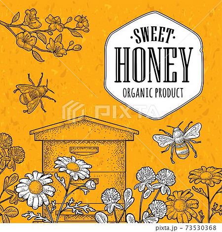 Square poster honey. Vector vintage color engraving 73530368