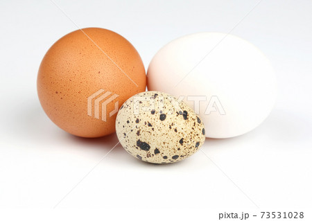 different chicken eggs on a white background different chicken eggs on a white background 73531028