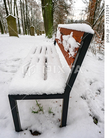 Close up of a frozen wooden bench during lovely winter time. 73531934