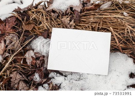 Winter stationery still life. Closeup of horizontal blank greeting card, invitation on frozen ground. Dry grass and autumn leaves with snow. Outdoor, branding concept. Flat lay, top view. Selective 73531991