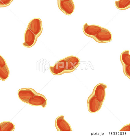 Illustration on theme big pattern identical types peanut Illustration on theme big pattern identical types peanut 73532033