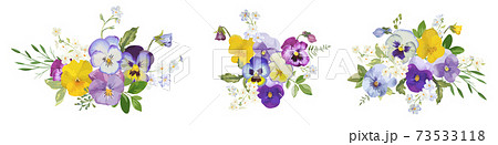 Watercolor pansy flowers bouquet collection. Vector viola spring floral set illustration. Summer bloom Watercolor pansy flowers bouquet collection. Vector viola spring floral set illustration. Summer bloom 73533118