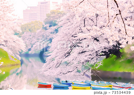 満開の桜とボートのアニメ風 満開の桜とボートのアニメ風 73534439