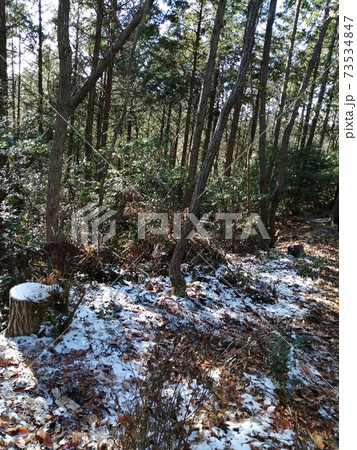 冬の山 冬の山 73534847