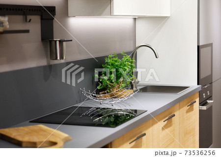 modern kitchen with wood veneer faced cabinets 73536256