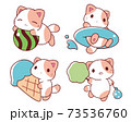 夏の猫さんセット 73536760