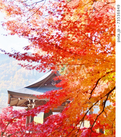 清水寺境内の紅葉と鐘楼 清水寺境内の紅葉と鐘楼 73536849