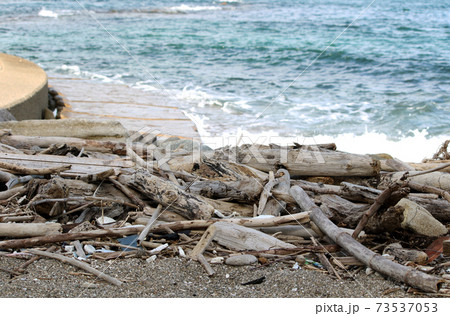 海岸に流れ着いた沢山の流木 海岸に流れ着いた沢山の流木 73537053