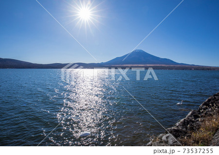 山中湖からの富士山 山中湖からの富士山 73537255