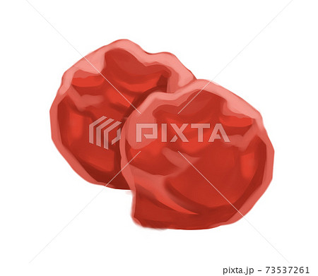 梅干し 梅干し 73537261