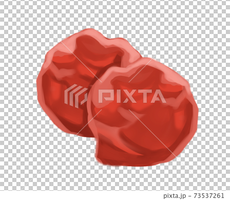 梅干し 梅干し 73537261