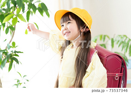 ランドセルを背負う小学生 73537346