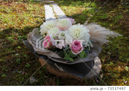 日陰の白いダリアとピンクの薔薇の写真素材