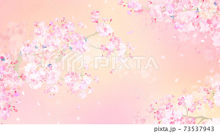 桜の背景 - 複数のバリエーションがあります 桜の背景 - 複数のバリエーションがあります 73537943