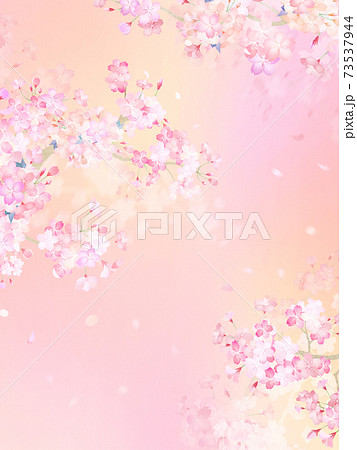 桜の背景 - 複数のバリエーションがあります 73537944