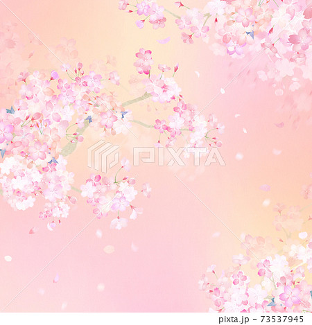 桜の背景 - 複数のバリエーションがあります 73537945