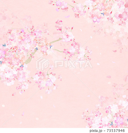 桜の背景 - 複数のバリエーションがあります 73537946