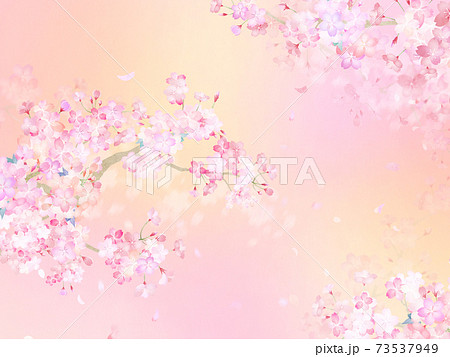 桜の背景 - 複数のバリエーションがあります 73537949