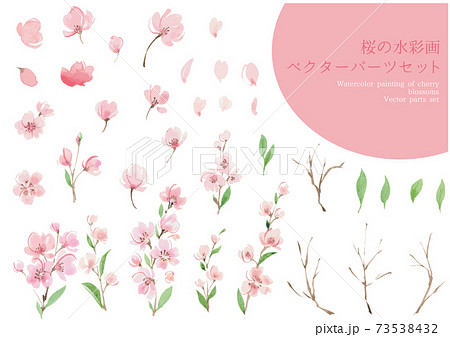 水彩画の桜のパーツセット 73538432