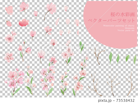 水彩画の桜のパーツセット 73538432