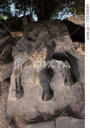 ワニの型石1　（ワット・プー寺院） 73538884