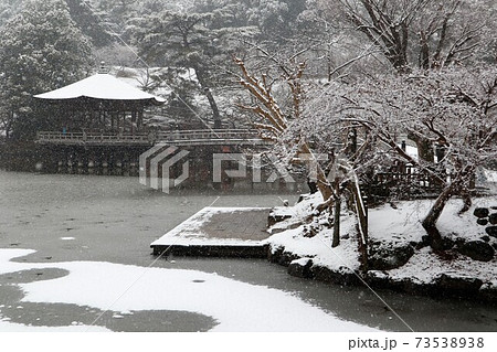 奈良公園の雪景色 奈良公園の雪景色 73538938