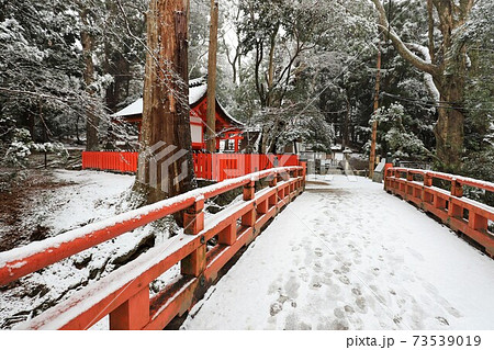 奈良公園の雪景色 73539019