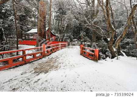 奈良公園の雪景色 奈良公園の雪景色 73539024