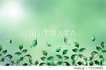 水彩の葉っぱのイラスト 緑色背景のイラスト素材