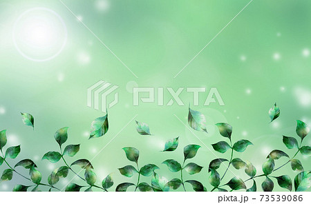 水彩の葉っぱのイラスト 緑色背景のイラスト素材